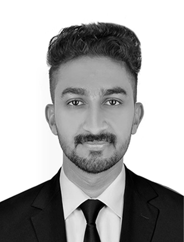 IT Consultant